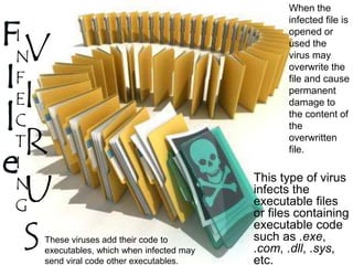 Virus Executable Societal Impacts Of IT (Class X) | PPTX