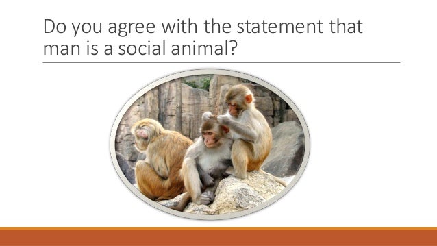 Man is a social animal