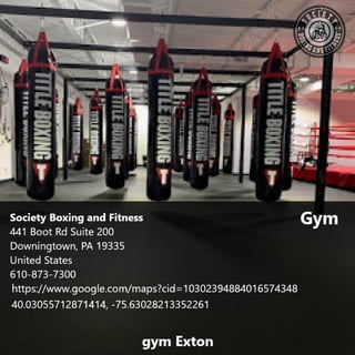 Society boxing and fitness   gym