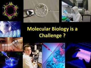 Molecular Biology is a
Challenge ?
 
