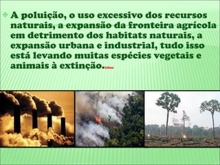 A poluição, o uso excessivo dos recursos naturais, a expansão da fronteira agrícola em detrimento dos habitats naturais, a expansão urbana e industrial, tudo isso está levando muitas espécies vegetais e animais à extinção. Lilian 