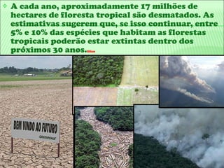 A cada ano, aproximadamente 17 milhões de hectares de floresta tropical são desmatados. As estimativas sugerem que, se isso continuar, entre 5% e 10% das espécies que habitam as florestas tropicais poderão estar extintas dentro dos próximos 30 anos. lilian 