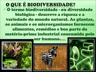O termo biodiversidade - ou diversidade biológica - descreve a riqueza e a variedade do mundo natural. As plantas, os animais e os microrganismos fornecem alimentos, remédios e boa parte da matéria-prima industrial consumida pelo ser humano . Jéssica 