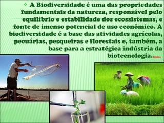 A Biodiversidade é uma das propriedades fundamentais da natureza, responsável pelo equilíbrio e estabilidade dos ecossistemas, e fonte de imenso potencial de uso econômico. A biodiversidade é a base das atividades agrícolas, pecuárias, pesqueiras e florestais e, também, a base para a estratégica indústria da biotecnologia. Jéssica   