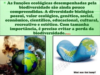 As funções ecológicas desempenhadas pela biodiversidade são ainda pouco compreendidas. A diversidade biológica possui, valor ecológico, genético, social, econômico, científico, educacional, cultural, recreativo e estético. Com tamanha importância, é preciso evitar a perda da biodiversidade. Jéssica 