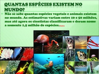 Não se sabe quantas espécies vegetais e animais existem no mundo. As estimativas variam entre 10 e 50 milhões, mas até agora os cientistas classificaram e deram nome a somente 1,5 milhão de espécies. Tamires  