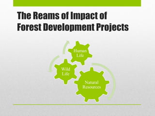The Reams of Impact of Forest Development Projects 