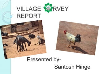 VILLAGE SURVEY
REPORT




  Presented by-
            Santosh Hinge
 