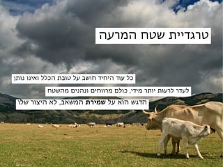 ‫טרגדיית שטח המרעה‬


‫כל עוד היחיד חושב על טובת הכלל ואינו נותן‬

                          ‫לעדר לרעות יותר מידי, כולם מרווחים ונהנים מהשטח‬
  ‫הדגש הוא על שמירת המשאב, לא היצור שלו‬




‫‪credit: Riccardo Romano‬‬
 