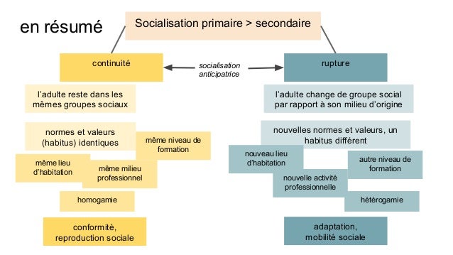 Dissertation socialisation 1ere es 04 image