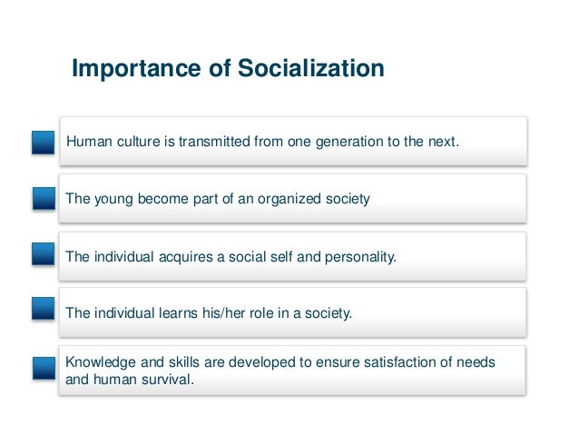 secondary social processes