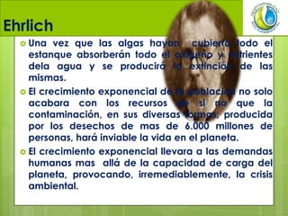 Ehrlich
 Una vez que las algas hayan cubierto todo el
estanque absorberán todo el oxigeno y nutrientes
dela agua y se producirá la extinción de las
mismas.
 El crecimiento exponencial de la población no solo
acabara con los recursos de si no que la
contaminación, en sus diversas formas, producida
por los desechos de mas de 6.000 millones de
personas, hará inviable la vida en el planeta.
 El crecimiento exponencial llevara a las demandas
humanas mas allá de la capacidad de carga del
planeta, provocando, irremediablemente, la crisis
ambiental.
 