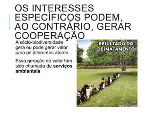 MAS E O QUE AS COMUNIDADES
MANTÉM E PRODUZEM
SIMPLESMENTE POR SEREM O QUE
SÃO?
Se vamos valorizar isso economicamente, não é só a
natureza que pode ter função.
 Comunidades, culturas, também podem produzir e manter valor
econômico simplesmente por serem o são, como a natureza.
 Seriam “funções socioeconômicas” das culturas tradicionais.
O serviço de conservação, no caso, seria as ações para
manter e revitalizar as culturas com seus principais
atributos em termos de valor para a sociedade.
 