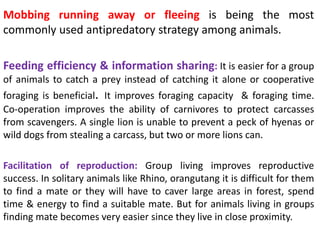 Social organization & Social behavior in animals | PPTX | Dogs | Pets