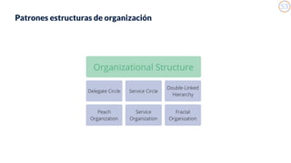 141
Patrones estructuras de organización
 