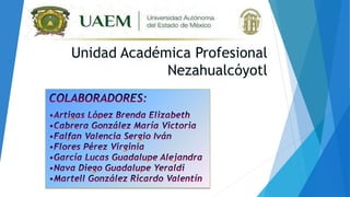 Unidad Académica Profesional 
Nezahualcóyotl 
 