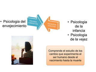 Comprende el estudio de los
cambio que experimenta el
ser humano desde el
nacimiento hasta la muerte
• Psicologia
de la
infancia
• Psicologia
de la vejez
• Psicologia del
envejecimiento
 