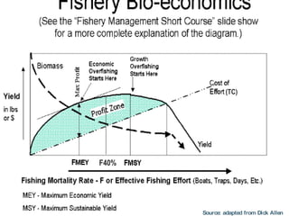 Fishery bioeconomics:  the Gordon-Schaefer model Source: adapted from Dick Allen Open Access equilibrium Source: adapted from Dick Allen (TC) F40% 