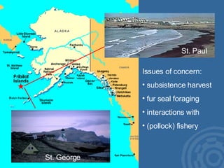 Issues of concern: subsistence harvest fur seal foraging interactions with  (pollock) fishery St. Paul St. George 
