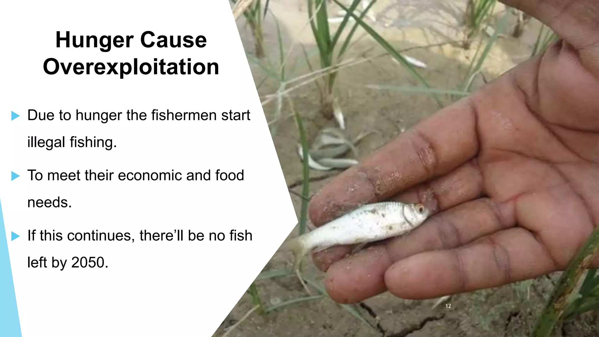 Fish Hunger socioeconomic conditions of fishermen community (1).pptx