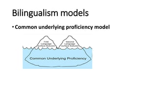 Bilingualism models
• Common underlying proficiency model
 