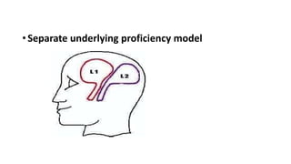 • Separate underlying proficiency model
 