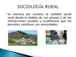  Se interesa por conocer la realidad social
rural desde el ámbito de sus actores y de las
interacciones sociales y económicas que les
permiten satisfacer sus necesidades.
 