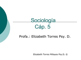 Sociología Cáp. 5   Profa.: Elizabeth Torres Psy. D. Elizabeth Torres Millayes Psy.D.  © 
