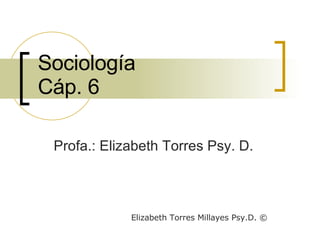 Sociología Cáp. 6 Profa.: Elizabeth Torres Psy. D. Elizabeth Torres Millayes Psy.D.  © 
