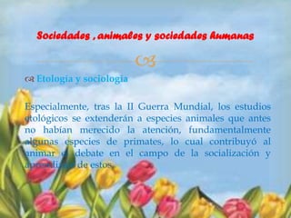 Sociedades , animales y sociedades humanas


 Etología y sociología
Especialmente, tras la II Guerra Mundial, los estudios
etológicos se extenderán a especies animales que antes
no habían merecido la atención, fundamentalmente
algunas especies de primates, lo cual contribuyó al
animar el debate en el campo de la socialización y
aprendizaje de estos.

 