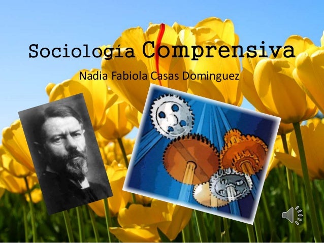 Sociología comprensiva