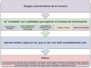 Rasgos característicos de lo humano

se "completa" con cualidades que explican el proceso de hominización
capacidad del
lenguaje

mayor inteligencia e
idoneidad para el
aprendizaje

capacidad de
inhibición de los
impulsos

cualidad creativa

sentido de la libertad

Apenas existen casos en los que un ser vivo esté completamente solo.

Wilson:
"en los inicios de la evolución de los homínidos, las fuerzas motrices fueron presiones ambientales externas, dirigiendo
su evolución hacia dos variaciones adaptativas: a)la vida en campo abierto y el consumo de semillas; y b)la captura de
grandes mamíferos. La caza mayor exigía mayor mentalidad y organización social".

 