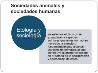 Sociedades animales y
sociedades humanas

Etología y
sociología

los estudios etológicos se
extenderán a especies
animales que antes no habían
merecido la atención,
fundamentalmente algunas
especies de primates, lo cual
contribuyó al animar el debate
en el campo de la socialización
y aprendizaje de estos.

 