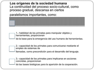 Los orígenes de la sociedad humana
La continuidad del proceso socio-cultural, como
proceso gradual, descansa en ciertos
paralelismos importantes, como:

1.- habilidad de los primates para manipular objetos y
herramientas, proporcionan
do la base para la emergencia del uso humano de herramientas.
2.- capacidad de los primates para comunicarse mediante el
empleo de sistemas de
llamadas, como precondición para el desarrollo del lenguaje.
3.- capacidad de los primates para implicarse en acciones
concretas, proporcionan
do las bases biológicas para la aparición de la cooperación.

 
