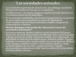  Las sociedades superiores de insectos son, sin embargo, sociedades






básicamente estáticas en las que no se producen
modificaciones, y no existen márgenes significativos de variación en
el comportamiento de los individuos
En los animales vertebrados, esta forma de gregarismo no se presenta
de igual manera: sus sociedades no están tan rígidamente
estructuradas y los individuos mantienen amplios márgenes de
independencia y libertad.
Melotti distingue siete grados de vida social y cuatro de
sociedades de primates:
a)el grupo materno: hembra madura y prole inmadura b)el grupo
biparental: dos individuos adultos de diferente sexo y prole inmadura
.c)grupo promiscuo simple: asociación estable, poco organizada, con
pluralidad de individuos de ambos sexos y distintas edades. d)grupo
múltiple monomasculino: macho adulto con varias hembras adultas y
crías. e)grupo complejo coactivo: varios machos adultos y varias
hembras adultas con sus crías, y grupos juveniles .f)grupo
plurimasculino ordenado por edad: machos adultos de varias edades,
hembras adultas, jóvenes

 
