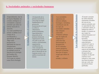 

práctica social de la
caza juega un papel
fundamental en el
proceso de
hominización en lo que
se refiere a
subsistencia,
perfeccionamiento,
especialización y
desarrollo de las
primeras formas de
organización social,
con todo lo que esto
conlleva: herramientas,
organización,
coordinación, etc.
-Este concepto ha
transcurrido como base
para el desarrollo de un
esquema social y a un
análisis recurrente del
mismo.

-Las sociedades
superiores de
insectos (abejas,
hormigas y termitas),
constituyen uno de
los tipos de
sociedades animales
más antiguas
conocidas.
-Podemos afirmar
que las reglas de
adaptación y
selección han
determinado la
desaparición
de los animales
menos gregarios,
bien por exclusión,
bien por el mayor
riesgo que ofrece la
vida
aislada y solitaria.

Los orígenes de la sociedad humana

-El desarrollo de la

Las sociedades animales

-Especialmente, tras la
II Guerra Mundial, los
estudios etológicos se
extenderán a especies
animales que antes no
habían merecido la
atención.
-Lo cual contribuyó al
animar el debate en el
campo de la
socialización y
aprendizaje de estos.
-Bajo estas
perspectivas,
aplicando las nuevas
orientaciones
analíticas, se estudiará
la realidad social en
función de la biología
del hombre (Ej.
Desmon Morris).
-Es lo que se conoce
como Socio biología.

El debate sobre el continuo social

Etología y sociología

6. Sociedades animales y sociedades humanas

-El propio concepto
de cultura delimita
claramente al hombre
del resto de las
especies animales, por
su capacidad de crear
y transmitir cultura, la
indagación sobre el
tiempo y la manera en
que surgen las
culturas humanas es el
interrogante
necesario.
-Teniendo apenas
capacidad para
comunicar lo que se
refiere a su entorno
físico de cientos de
especies de homínidos
y primates han
desaparecido por
completo, la idea del
continuo sociocultural es vista como
una línea de puntos,
más que como una
sucesión de líneas
quebradas.

 