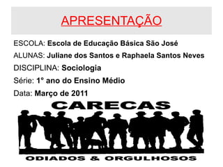 APRESENTAÇÃO <ul><li>ESCOLA:  Escola de Educação Básica São José  