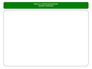 CÉDULA 5.2 ESTRUCTURA RETICULAR
      MATERIA: SOCIOLOGÍA
 