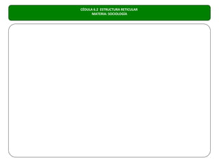 CÉDULA 6.2 ESTRUCTURA RETICULAR
      MATERIA: SOCIOLOGÍA
 