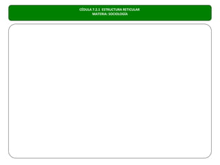 CÉDULA 7.2.1 ESTRUCTURA RETICULAR
       MATERIA: SOCIOLOGÍA
 