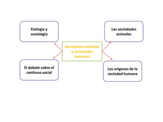 Etología y
sociología

Las sociedades
animales
Sociedades animales
y sociedades
humanas

El debate sobre el
continuo social

Los orígenes de la
sociedad humana

 