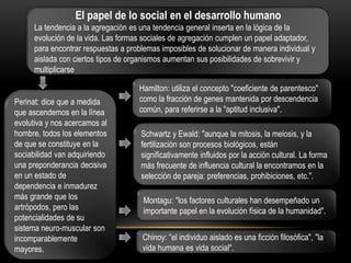 El papel de lo social en el desarrollo humano
El papel de lo social en el desarrollo humano

La tendencia a la agregación es una tendencia general inserta en la lógica de la
La tendencia a la agregación es una tendencia general inserta en la lógica de la
evolución de la vida. Las formas sociales de agregación cumplen un papel adaptador,
evolución de la vida. Las formas sociales de agregación cumplen un papel adaptador,
para encontrar respuestas a problemas imposibles de solucionar de manera individual y
para encontrar respuestas a problemas imposibles de solucionar de manera individual y
aislada con ciertos tipos de organismos aumentan sus posibilidades de sobrevivir y
aislada con ciertos tipos de organismos aumentan sus posibilidades de sobrevivir y
multiplicarse
multiplicarse
Perinat: dice que a medida
Perinat: dice que a medida
que ascendemos en la línea
que ascendemos en la línea
evolutiva y nos acercamos al
evolutiva y nos acercamos al
hombre, todos los elementos
hombre, todos los elementos
de que se constituye en la
de que se constituye en la
sociabilidad van adquiriendo
sociabilidad van adquiriendo
una preponderancia decisiva
una preponderancia decisiva
en un estado de
en un estado de
dependencia e inmadurez
dependencia e inmadurez
más grande que los
más grande que los
artrópodos, pero las
artrópodos, pero las
potencialidades de su
potencialidades de su
sistema neuro-muscular son
sistema neuro-muscular son
incomparablemente
incomparablemente
mayores.
mayores.

Hamilton: utiliza el concepto "coeficiente de parentesco"
Hamilton: utiliza el concepto "coeficiente de parentesco"
como la fracción de genes mantenida por descendencia
como la fracción de genes mantenida por descendencia
común, para referirse a la "aptitud inclusiva".
común, para referirse a la "aptitud inclusiva".
Schwartz y Ewald: "aunque la mitosis, la meiosis, y la
Schwartz y Ewald: "aunque la mitosis, la meiosis, y la
fertilización son procesos biológicos, están
fertilización son procesos biológicos, están
significativamente influidos por la acción cultural. La forma
significativamente influidos por la acción cultural. La forma
más frecuente de influencia cultural la encontramos en la
más frecuente de influencia cultural la encontramos en la
selección de pareja: preferencias, prohibiciones, etc.".
selección de pareja: preferencias, prohibiciones, etc.".
Montagu: "los factores culturales han desempeñado un
Montagu: "los factores culturales han desempeñado un
importante papel en la evolución física de la humanidad".
importante papel en la evolución física de la humanidad".
Chinoy: "el individuo aislado es una ficción filosófica", "la
Chinoy: "el individuo aislado es una ficción filosófica", "la
vida humana es vida social".
vida humana es vida social".

 