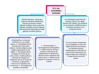 6.3. Las
sociedades
animales
Melotti distingue :a)el grupo
materno b)el grupo biparental
c)grupo promiscuo simple:
d)grupo múltiple mono masculino
e)grupo complejo coactivo f)grupo
plurimasculino ordenado por edad
g)grupo complejo abierto

individualista y a menudo
conflictiva, en un medio
seguro. 2.- Sociedades de los
primates terrícolas de la
Sabana: medios peligrosos que
exigen organización social
rígida. 3.- Sociedades de los
primates terrícolas de las
zonas áridas: medios pobres y
carentes de refugios con
dispersión diurna en busca de
alimentos, y agrupación
nocturna en manadas muy
numerosas. 4.- Sociedades de
grandes antropoides

1.- Territorialidad: 2.Autorregulación demográfica
3.- Diferenciación de lazos
sociales y estructuras de
dependencia 4.-Relaciones
afectivas entre individuos del
mismo sexo. 5.- Diferencia de
papeles en relación al sexo y a
la edad

Las sociedades superiores de
insectos Tienen una rígida
división del trabajo, Son estáticas
no se producen modificaciones y
no existen variación en el
comportamiento

En los animales vertebrados
sus sociedades no están tan
rígidamente estructuradas y
los individuos tienen
independencia y libertad, En
los primates intervienen los
rasgos propios del individuo y
la experiencia social del
grupo.

 