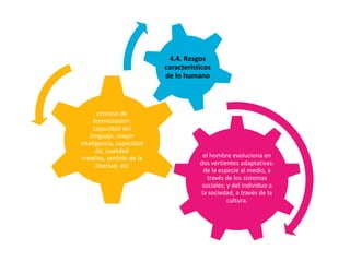 4.4. Rasgos
característicos
de lo humano

proceso de
hominización:
capacidad del
lenguaje, mayor
inteligencia, capacidad
de, cualidad
creativa, sentido de la
libertad, etc

el hombre evoluciona en
dos vertientes adaptativas:
de la especie al medio, a
través de los sistemas
sociales; y del individuo a
la sociedad, a través de la
cultura.

 