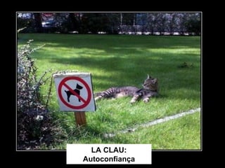 Facultat de comprendre les emocions i els sentiments 
externs per un procés d'identificació amb l'objecte, grup 
o individu amb el qual hom es relaciona. 
 