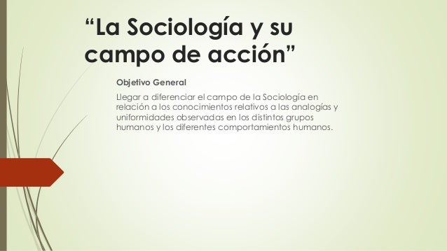 Sociologia