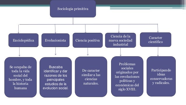 Equipo 2 Tema Origen, desarrollo y campo de estudio de la