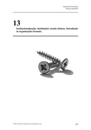 Apostila de Sociologia
                                                          Marcelo Sabbatini




13
      Institucionalização. Instituições sociais básicas. Introdução
      às organizações formais.




©2005-2013 Marcelo Sabbatini (marcelo@sabbatini.com)                    103
 