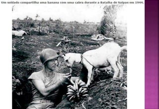 Interpretação de imagens