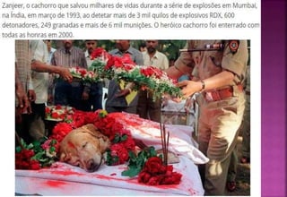 Interpretação de imagens